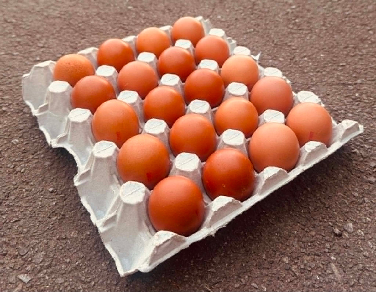 Eggs Small Size in 20s