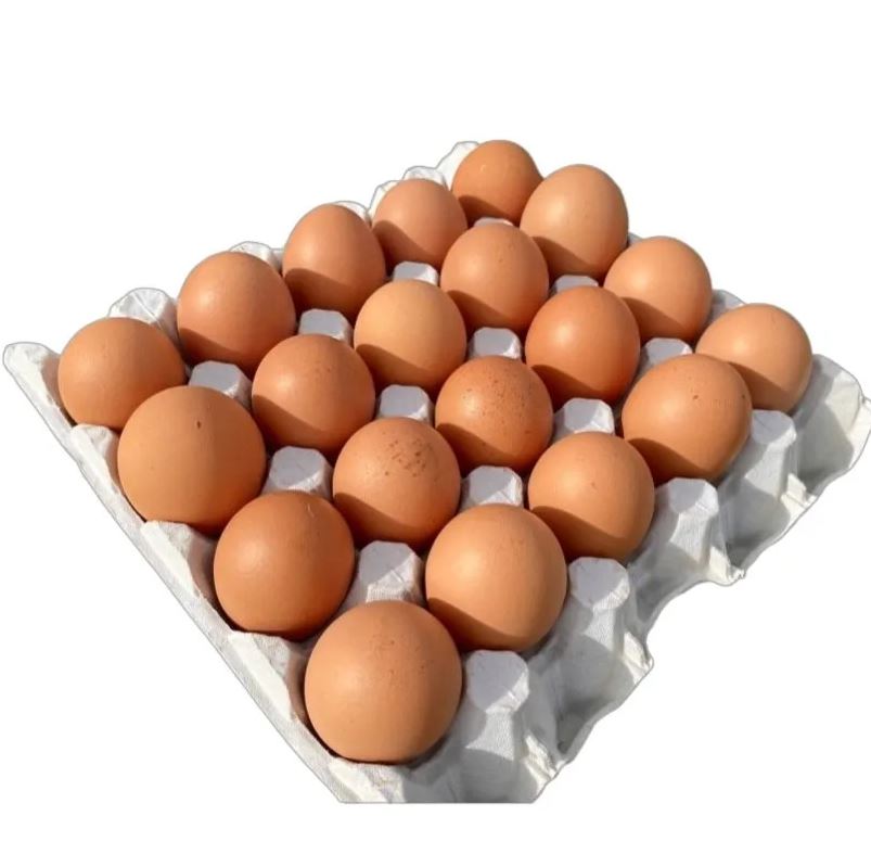 Eggs Large 20s per Tray
