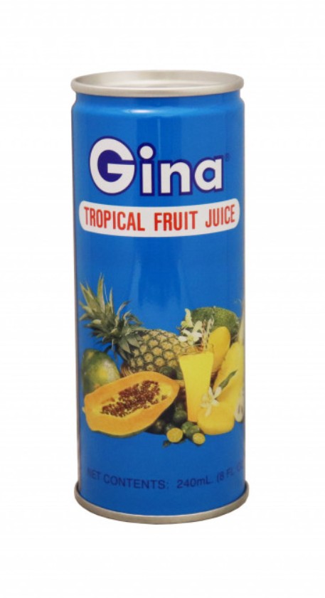 Gina Tropical Fruit Juice 240ml